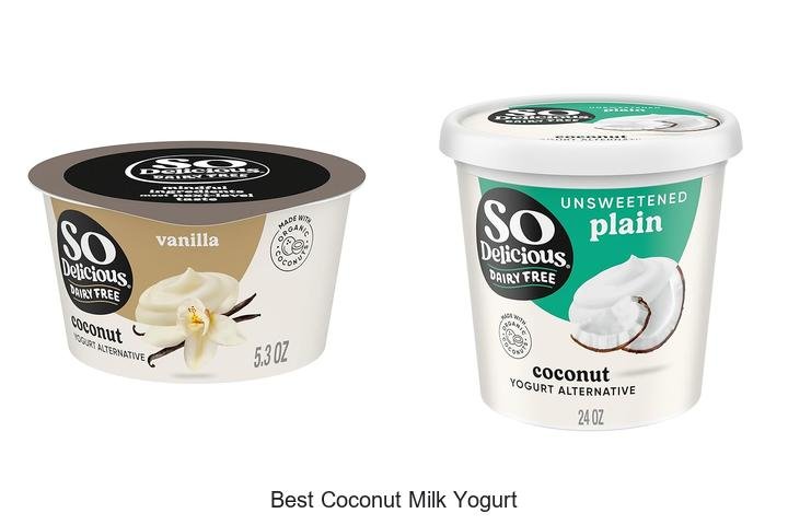 Discover the Best Coconut Milk Yogurt Today!