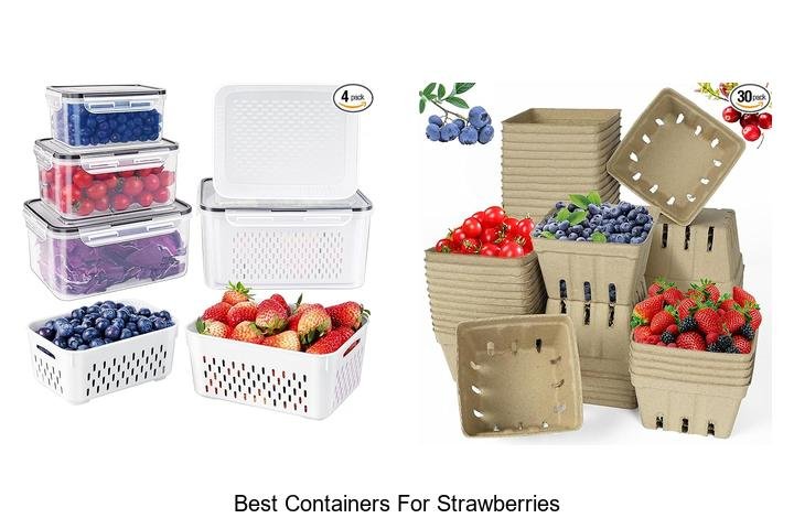 Discover the Best Containers for Juicy Strawberries!