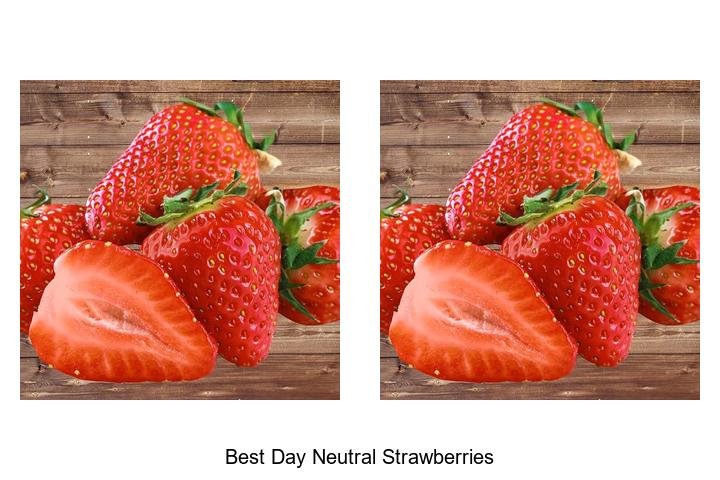 Discover the Best Day Neutral Strawberries Today!