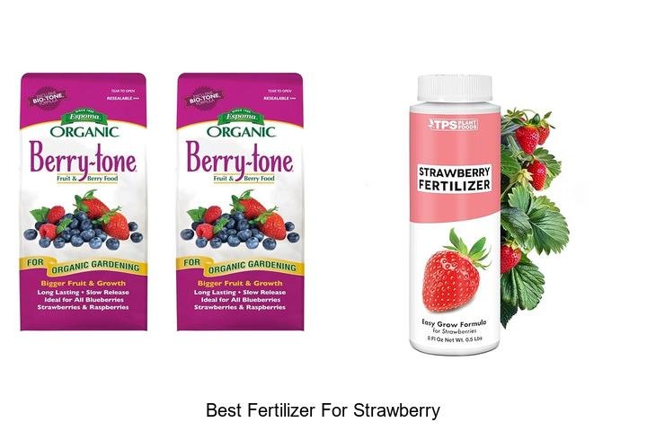 Top-Rated Fertilizer for Juicy Strawberries Unveiled!