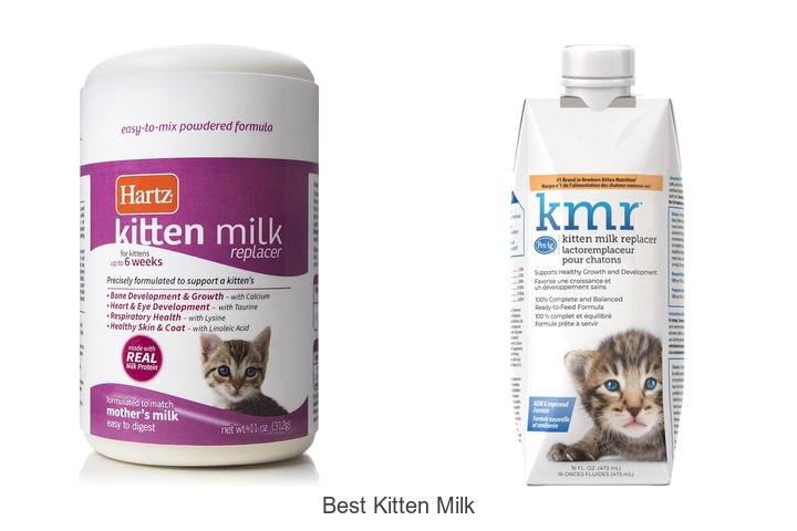 Discover the Best Kitten Milk for Stronger Kittens!