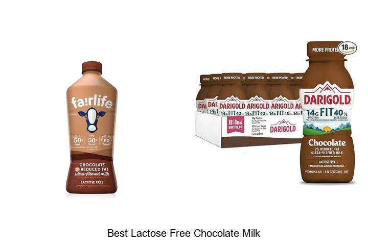 Discover the Best Lactose Free Chocolate Milk Now!