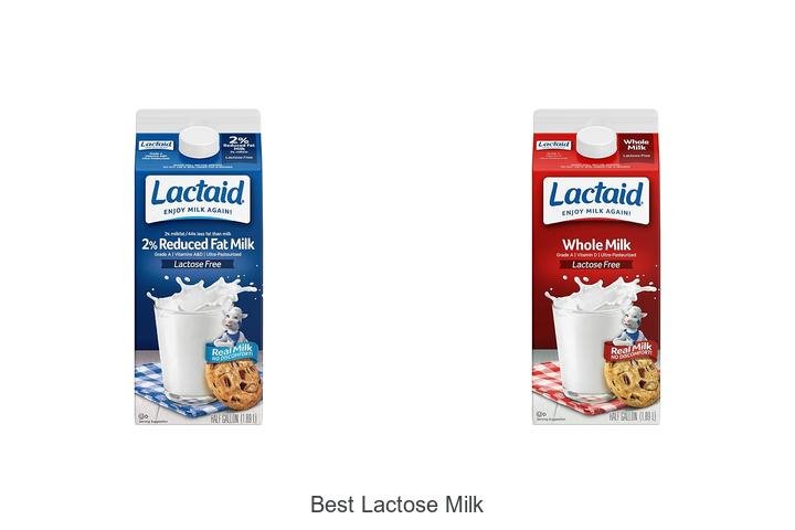 Discover the Best Lactose Milk You’ve Been Missing!
