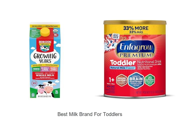 Top 5 Best Milk Brands Toddlers Absolutely Love