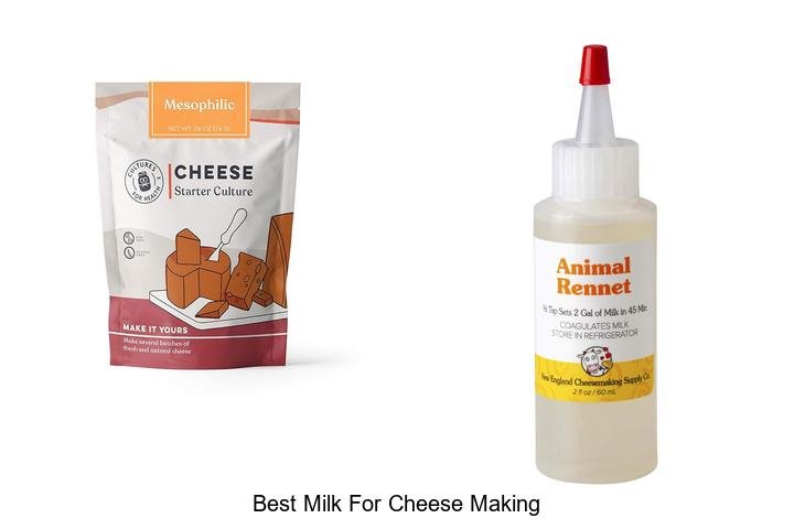 Discover the Best Milk for Cheese Making Secrets