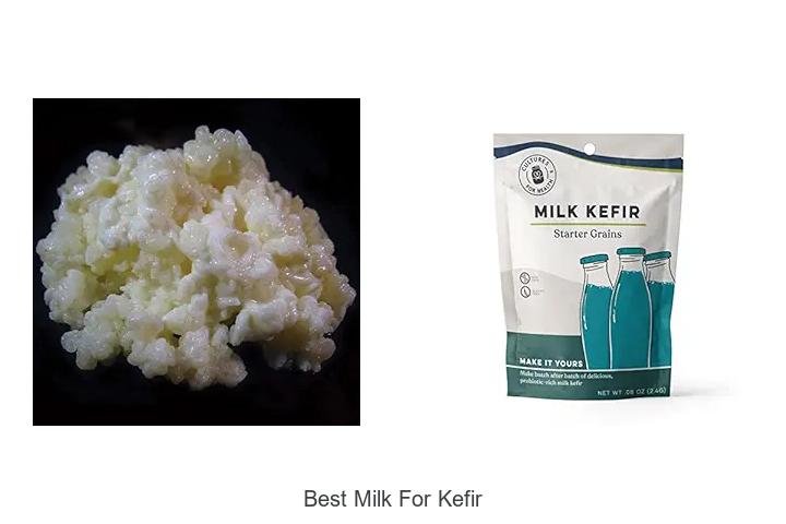 Discover the Best Milk for Kefir – Amazing Results!