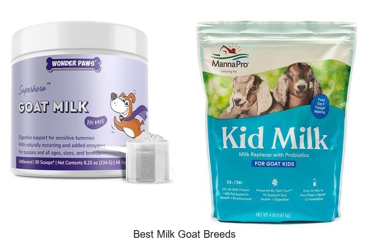 Top 7 Best Milk Goat Breeds You Need to Know
