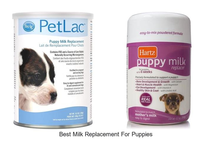 Top Milk Replacement for Puppies That Vets Love!
