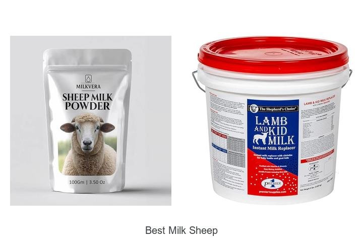 Discover the Best Milk Sheep for Creamy Delights!