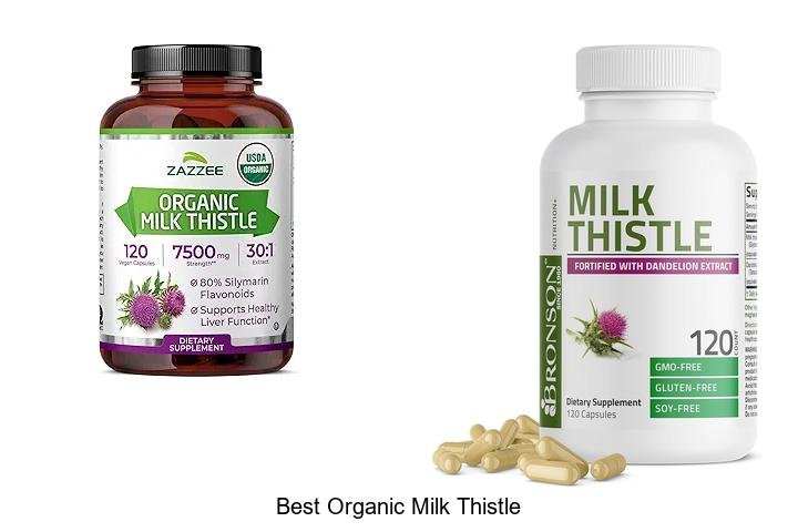 Discover the Best Organic Milk Thistle Benefits!