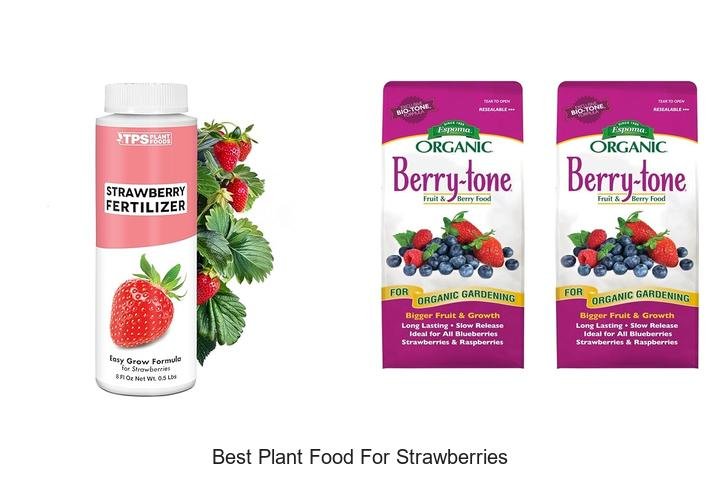 Ultimate Best Plant Food for Juicy Strawberries!