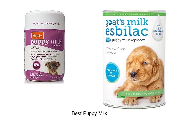 The Best Puppy Milk You Can’t Afford to Skip!