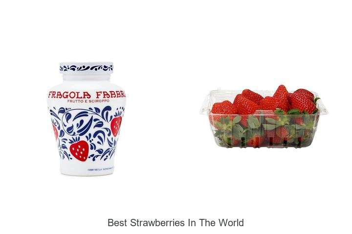 Discover the Best Strawberries in the World Now!