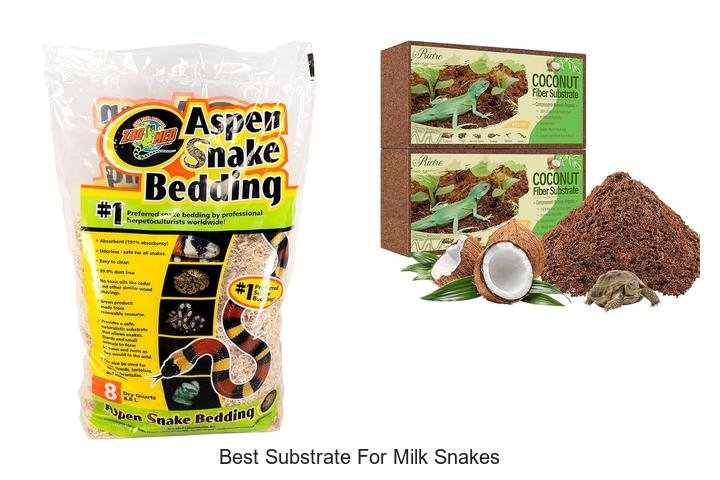 Discover the Best Substrate for Thriving Milk Snakes!