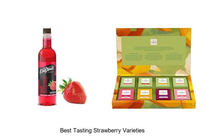 Discover the Best Tasting Strawberry Varieties Now!